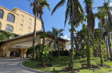 a building with palm trees and a driveway