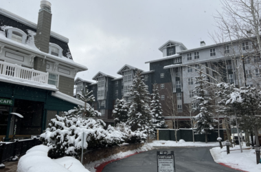 a snow covered trees and buildings