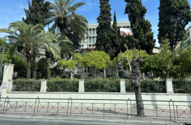 a street with trees and a building