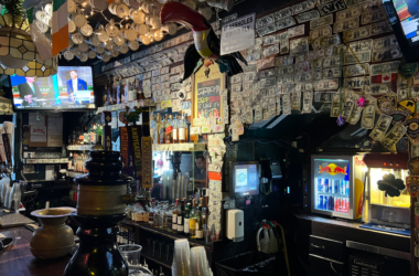 a bar with a toucan on the wall