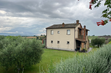 a house with trees in the back