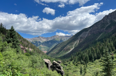 a mountain range with trees and bushes