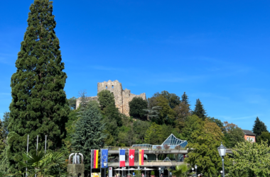 a building with a castle in the background