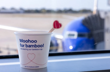 Southwest Airlines is swapping out cups, stir sticks, and napkins onboard in an effort to reduce single-use plastic waste.