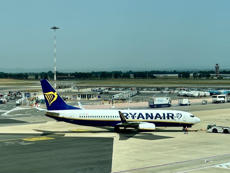 A Ryanair flight between Belgium and Spain was forced to divert to France after a passenger gave birth onboard.