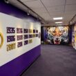 a hallway with pictures of tigers and numbers