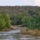 The Guadalupe River in Kerr County, Texas