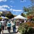 Downtown Hendersonville North Carolina