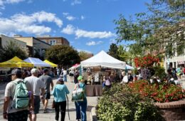 Downtown Hendersonville North Carolina