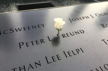 a white flower on a stone
