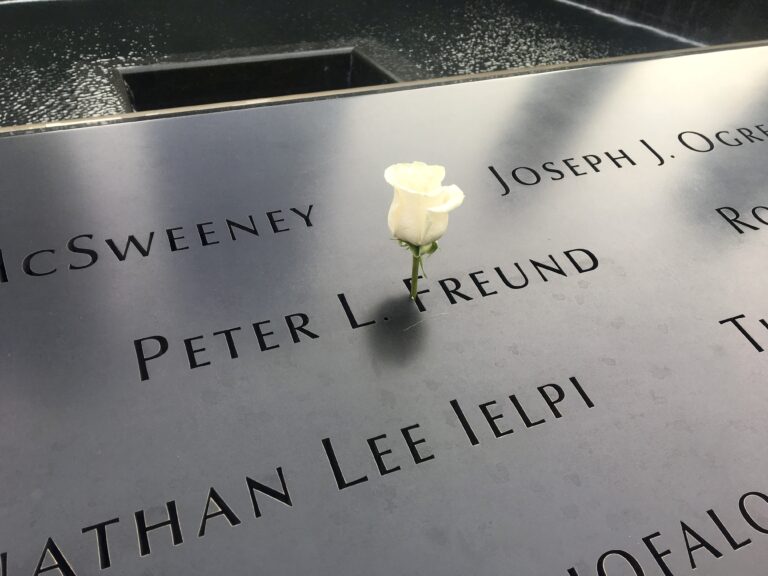 a white flower on a stone