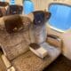 Tokaido Shinkansen Green Car Seating